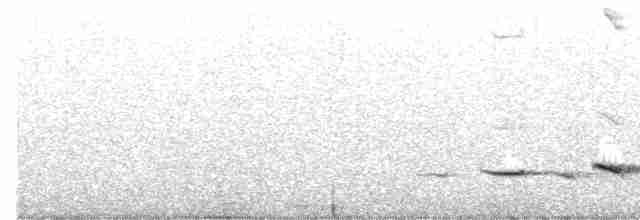 Grallaire teguy - ML611356669