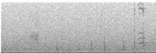 Горіхівка крапчаста - ML611360296