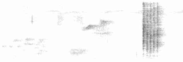 Blyth's Reed Warbler - ML611360405
