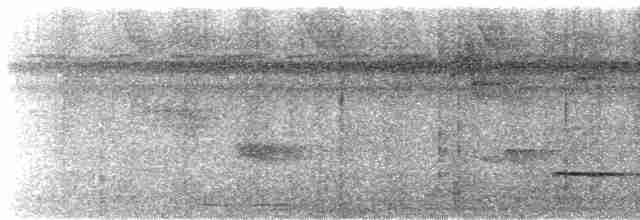 Graubrust-Ameisendrossel - ML611362712