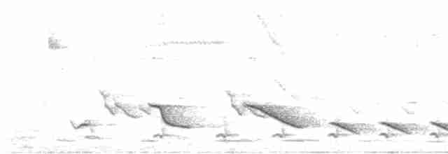 Bluish-gray Saltator - ML611363939