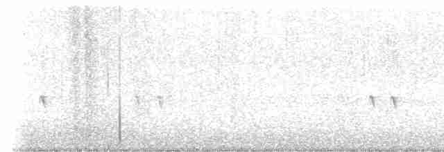 Каролинский крапивник - ML611364395