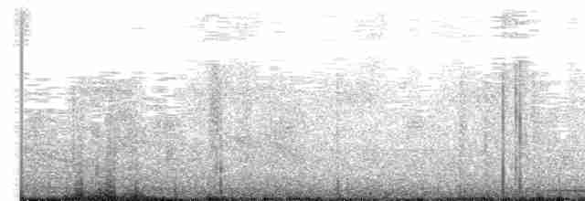 holub šedočelý - ML611366006