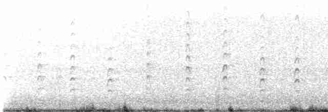 svartkronestylteløper (knudseni) - ML611368196