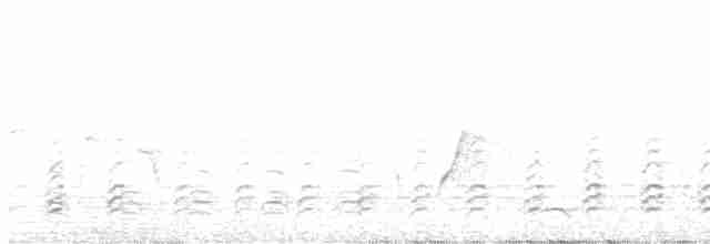 Oriyental Deniz Kartalı - ML611371289