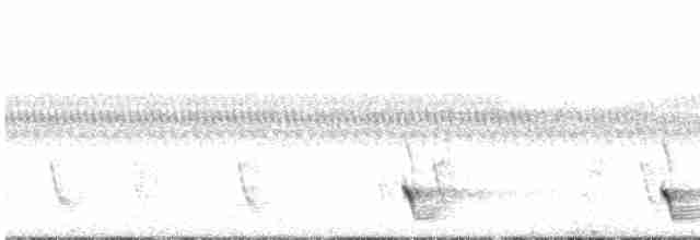 White-eared Honeyeater - ML611373297