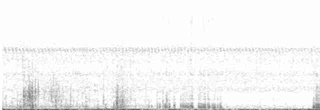 White-eared Honeyeater - ML611373300