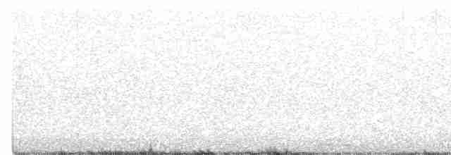 White-browed Crake - ML611375300
