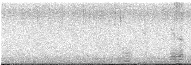 Ібіс білий - ML611375793