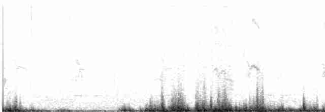 pěnkavice šedohlavá (ssp. littoralis) - ML611375889