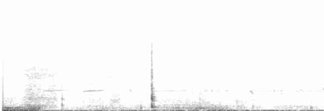 White-eared Honeyeater - ML611376195