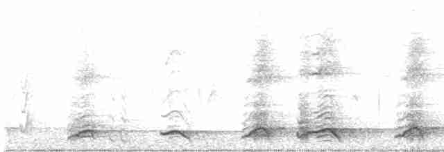 Белолобый лесной перепел - ML611377850