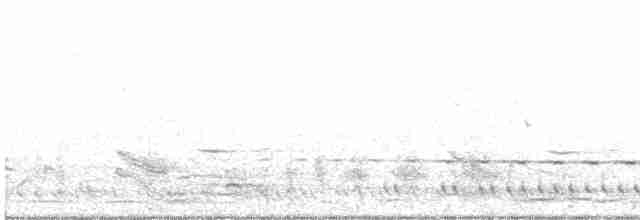 White-eared Honeyeater - ML611380758