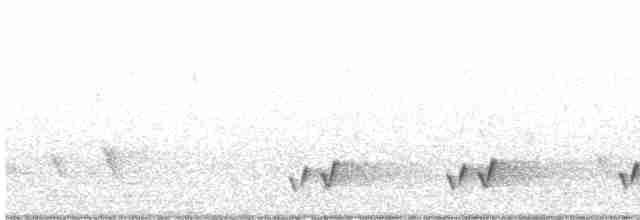 White-eared Honeyeater - ML611380765