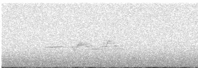 Дрізд-короткодзьоб плямистоволий - ML611382627