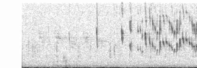 ハジロオーストラリアムシクイ - ML611383821