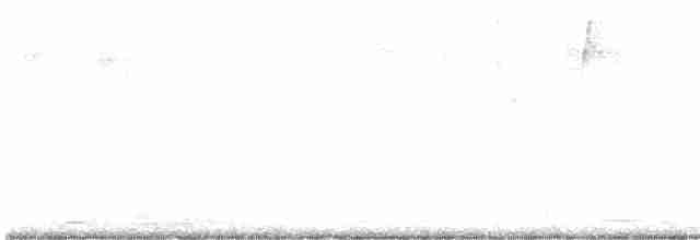 Graubrust-Olivtyrann - ML611391326