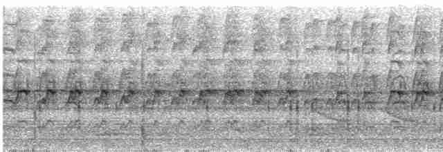 Дятел-куцохвіст чорночубий - ML611395852