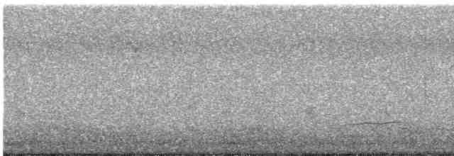 Eurasian Curlew - ML611397411
