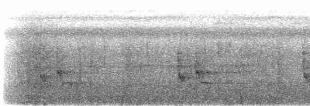 Поплітник смугастогорлий - ML611398776
