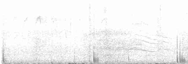 Пересмішник сірий - ML611400393