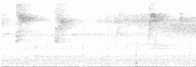 Коронник смугастоголовий (підвид daedalus) - ML611400665