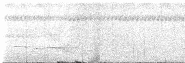 Кустарниковая кукушка [группа variolosus] - ML611412594