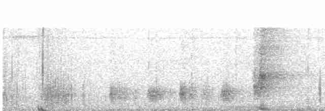 Sooretama Slaty-Antshrike - ML611417163
