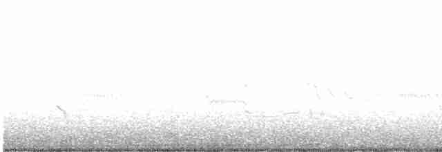 Короткоклювый бекасовидный веретенник - ML611419775