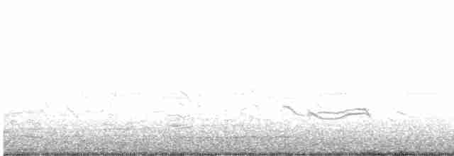 Короткоклювый бекасовидный веретенник - ML611419821