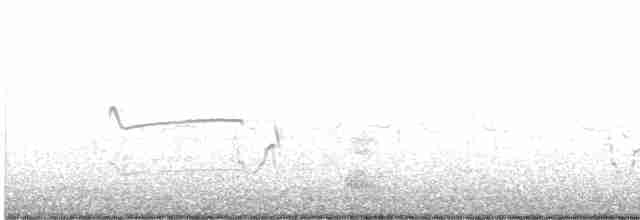 Короткоклювый бекасовидный веретенник - ML611419862