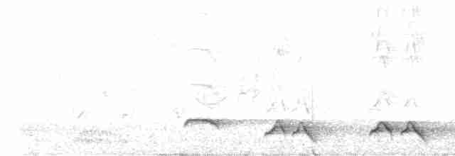 Gray-sided Scimitar-Babbler - ML611423531