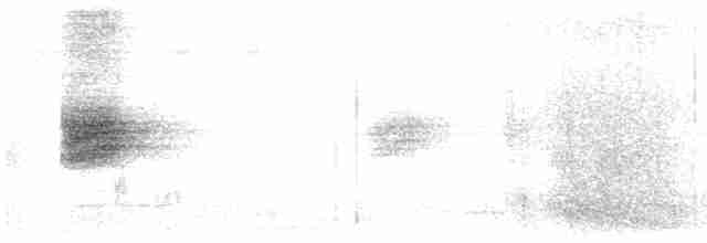 Gri Başlı Arapbülbülü - ML611433869
