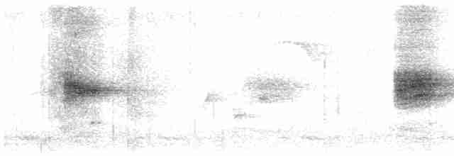 Gri Başlı Arapbülbülü - ML611433871