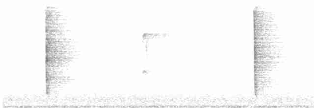 Тремблер прямодзьобий - ML611435502