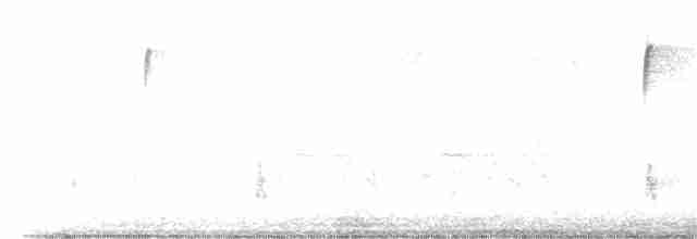 Hermit Thrush (faxoni/crymophilus) - ML611438005