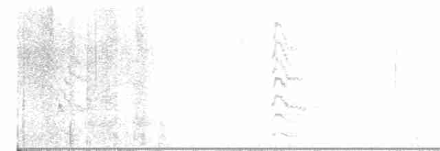 Дятел-смоктун білочеревий - ML611441949