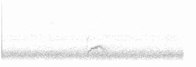 passerine sp. - ML611442152