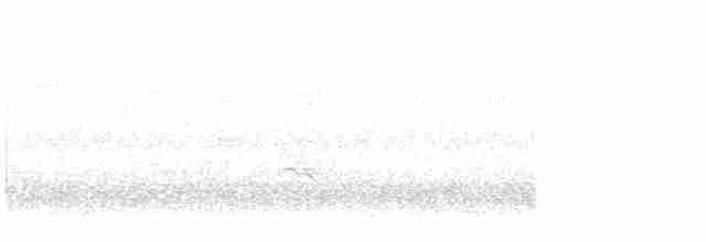 passerine sp. - ML611442297