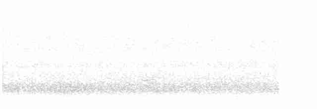 passerine sp. - ML611442300