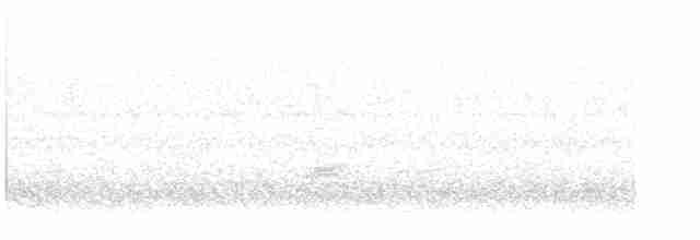 passerine sp. - ML611442559