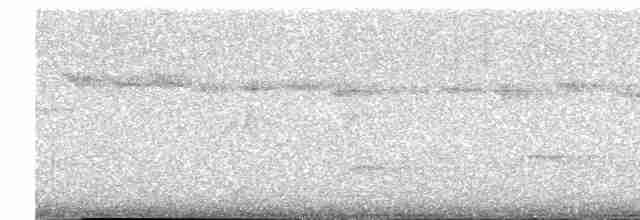 Патагонский мухолов - ML611445362