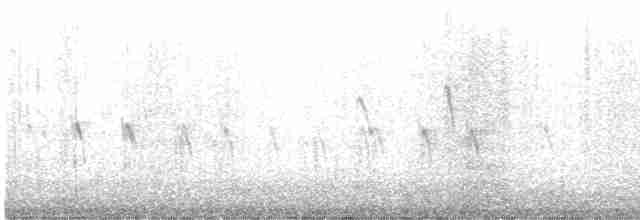 "Шишкар ялиновий (Western Hemlock, або тип 3)" - ML611445491