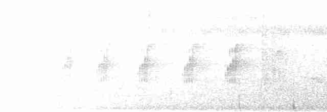Rostbauch-Ameisenschlüpfer - ML611448960