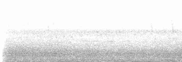 hvitbrystkråke - ML611456341