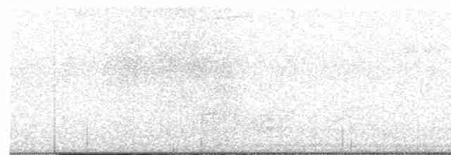 Дереволаз плямистолобий (підвид affinis/lignicida) - ML611463611
