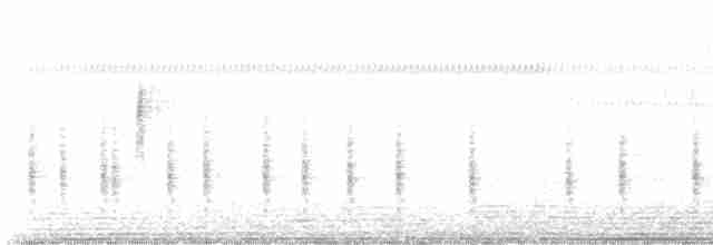 Troglodyte familier - ML611468832