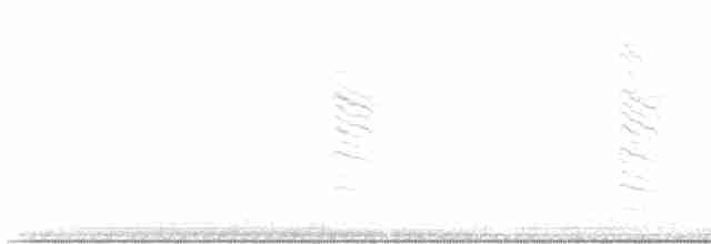 Пересмішник сірий - ML611468937