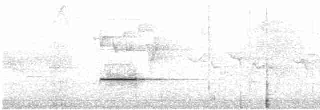 Sumatran Wren-Babbler - ML611469543