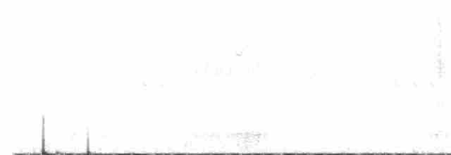 Карнатка білоброва - ML611470205